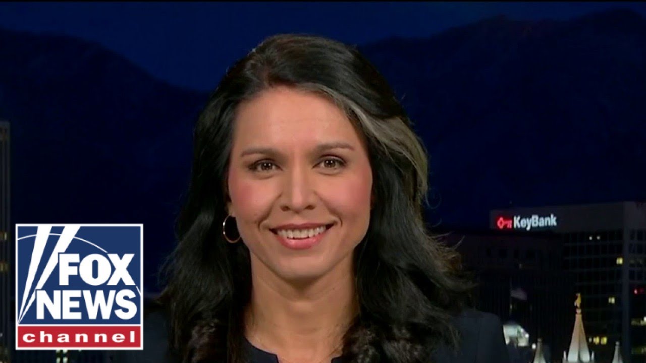 Tulsi Gabbard: ‘Democrats Selecting Based on Race is Akin to Nazi ...